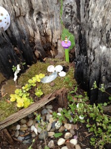 LTR staff "uncovers" fairy garden