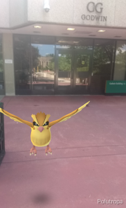 Pidgey, a birdlike creature from the show Pokemon, sits in front of the library.