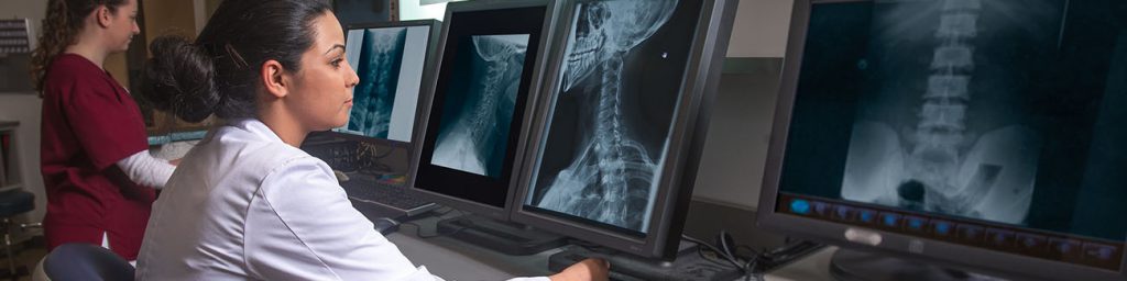 Picture of Radiography students looking at x-rays on monitors in the Radiography lab.