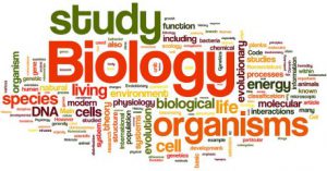 image of words related to the study of biology.
