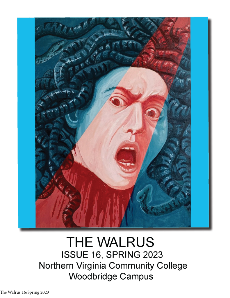 The Walrus, Volume 16