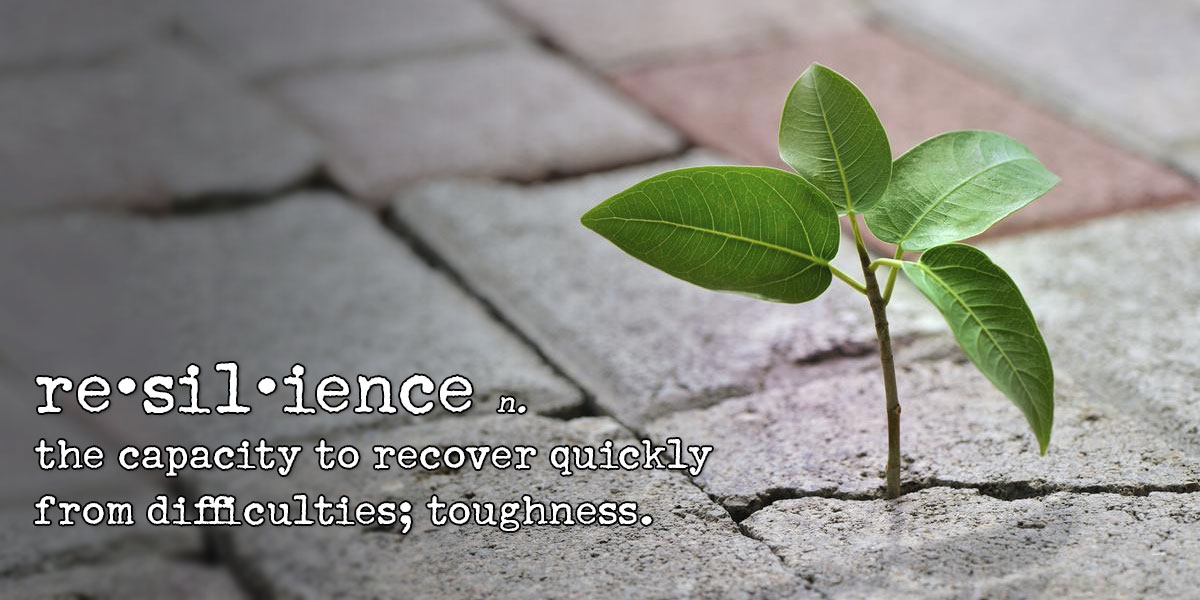 5 Secrets to Resilience