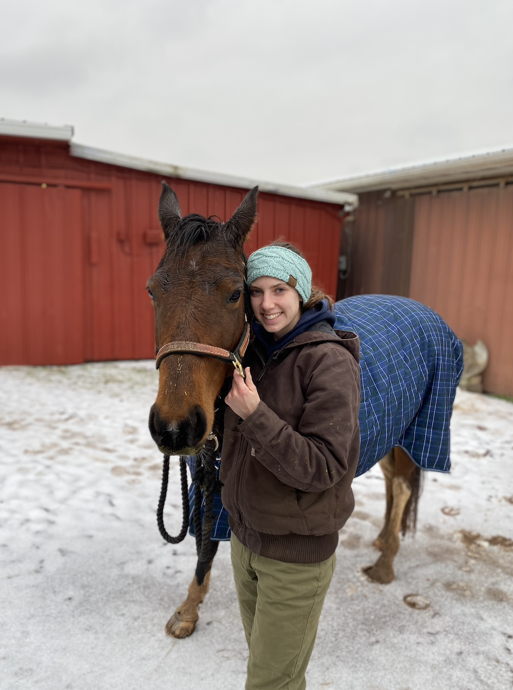 Vet Tech student Charlotte Butler snuttles a beautiful chestnut horse with red barn in the background and a light layer of snow on the ground.