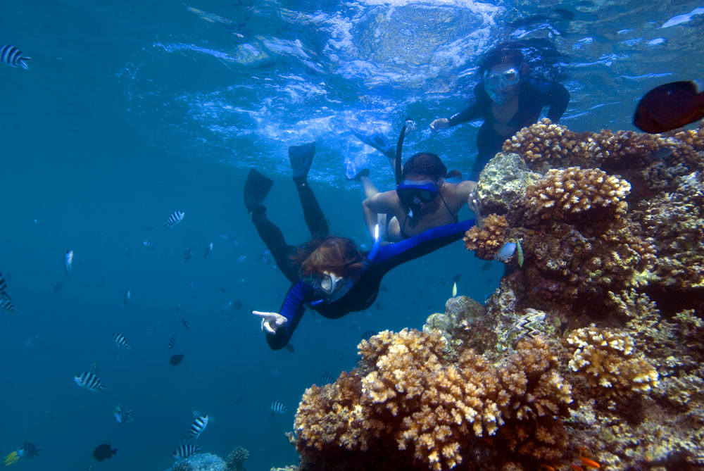 Jill Caporale takes her students on adventures to show them the world's amazing coral reefs first-hand. Caporale and swo students snorkel with beautiful coral formations to their left and beautiful tropical fish swimming all around them.