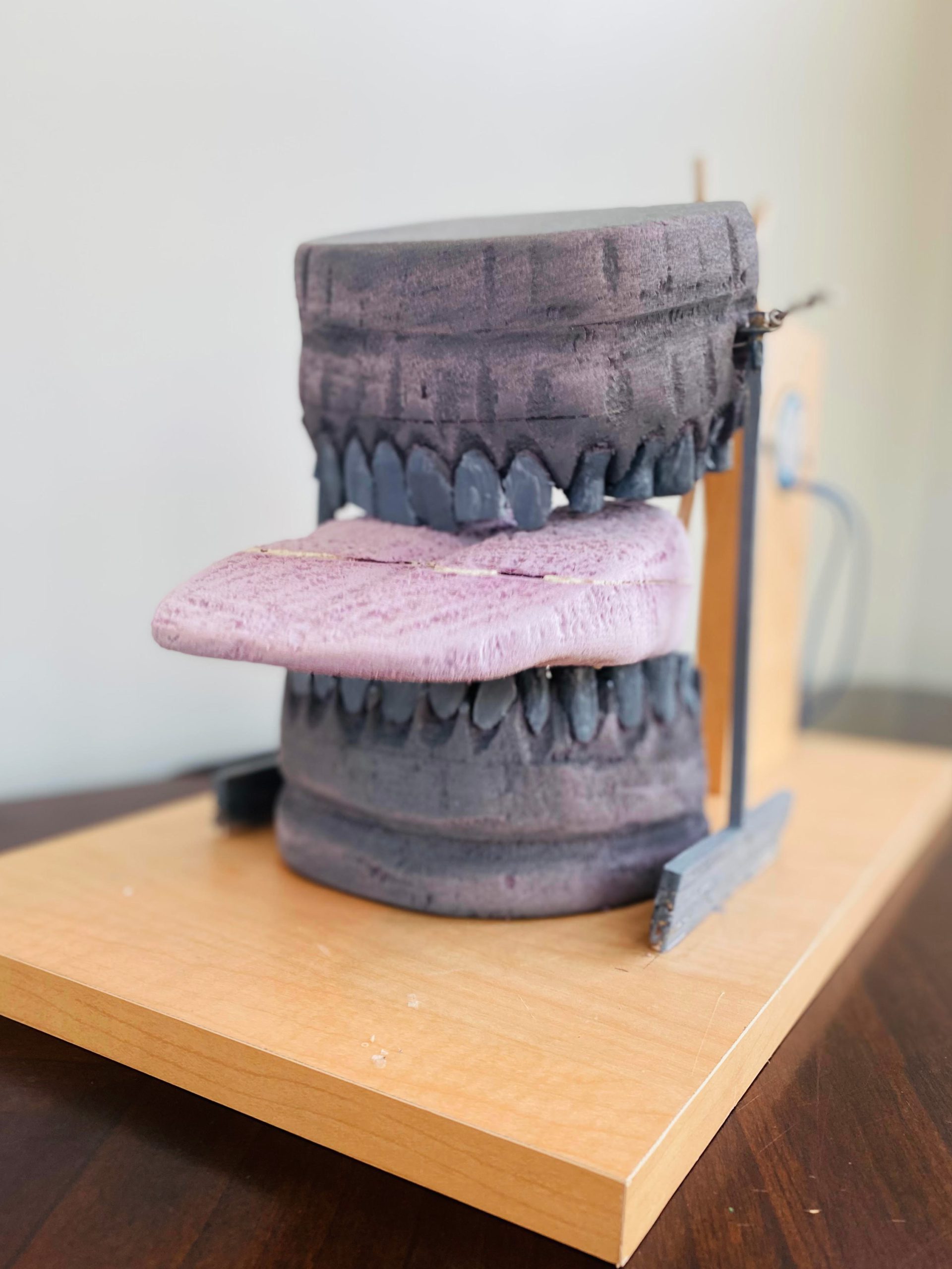 Photograph of NOVA Visual Art Luminary Student Abigail Warren's winning "Bite My Tongue" sculpture. The small sculpture, which sits atop a light wooden base, is made of carved wood resembling a set of human teeth and tongue. The gums are brown, while the teeth are dark gray. The tongue, which sticks out as if in jest, is large and pink. 