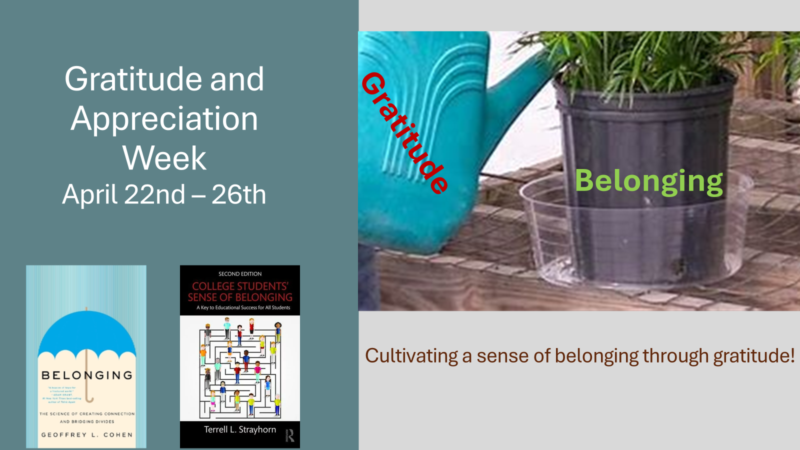 Horizontal graphic divided in half: 
At left, against dark teal background: "Gratitude and Appreciation Week, April 22nd to April 26th" in white, above images of two book covers: "Belonging: The Science of Creating Connection and Bridging Divides" and "College Students' Sense of Belonging: A Key to Educational Success for All Students."

At right is a photograph of a plant in a planter being watered with a bright blue plastic watering can. The plant is labeled "Belonging" and the watering can is labeled "Gratitude." Below the photo is the caption, "Cultivating a sense of belonging through gratitude!"