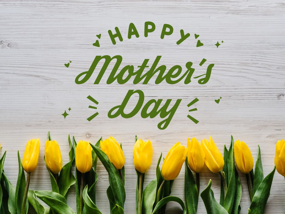 Whitewashed wood wall with bright yellow tulips across the bottom. Text in green: "Happy Mother's Day."
