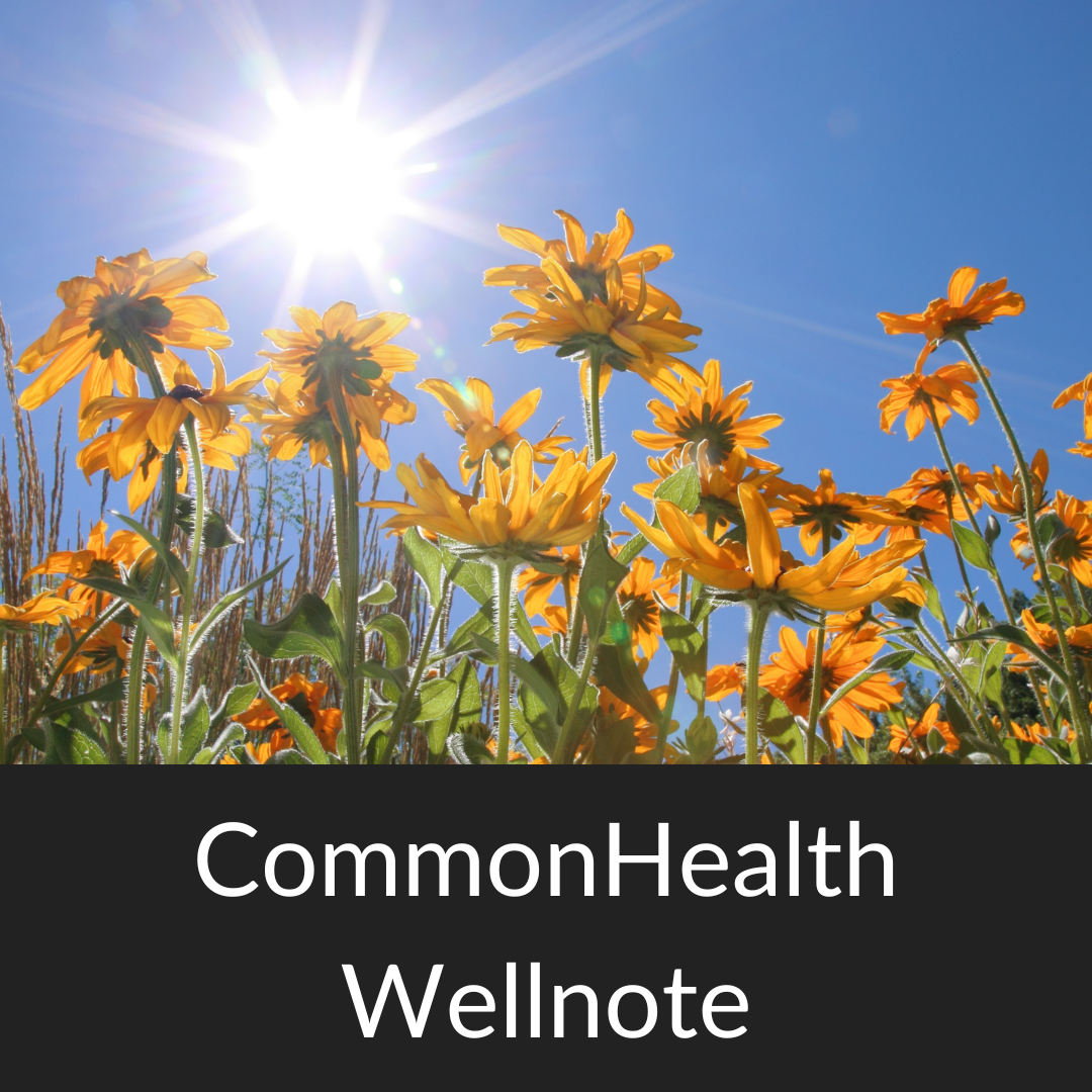 Stock photo of sunflowers against a brilliant blue summer sky. At the bottom of the photo is a black band with white text that reads "CommonHealth Wellnote."