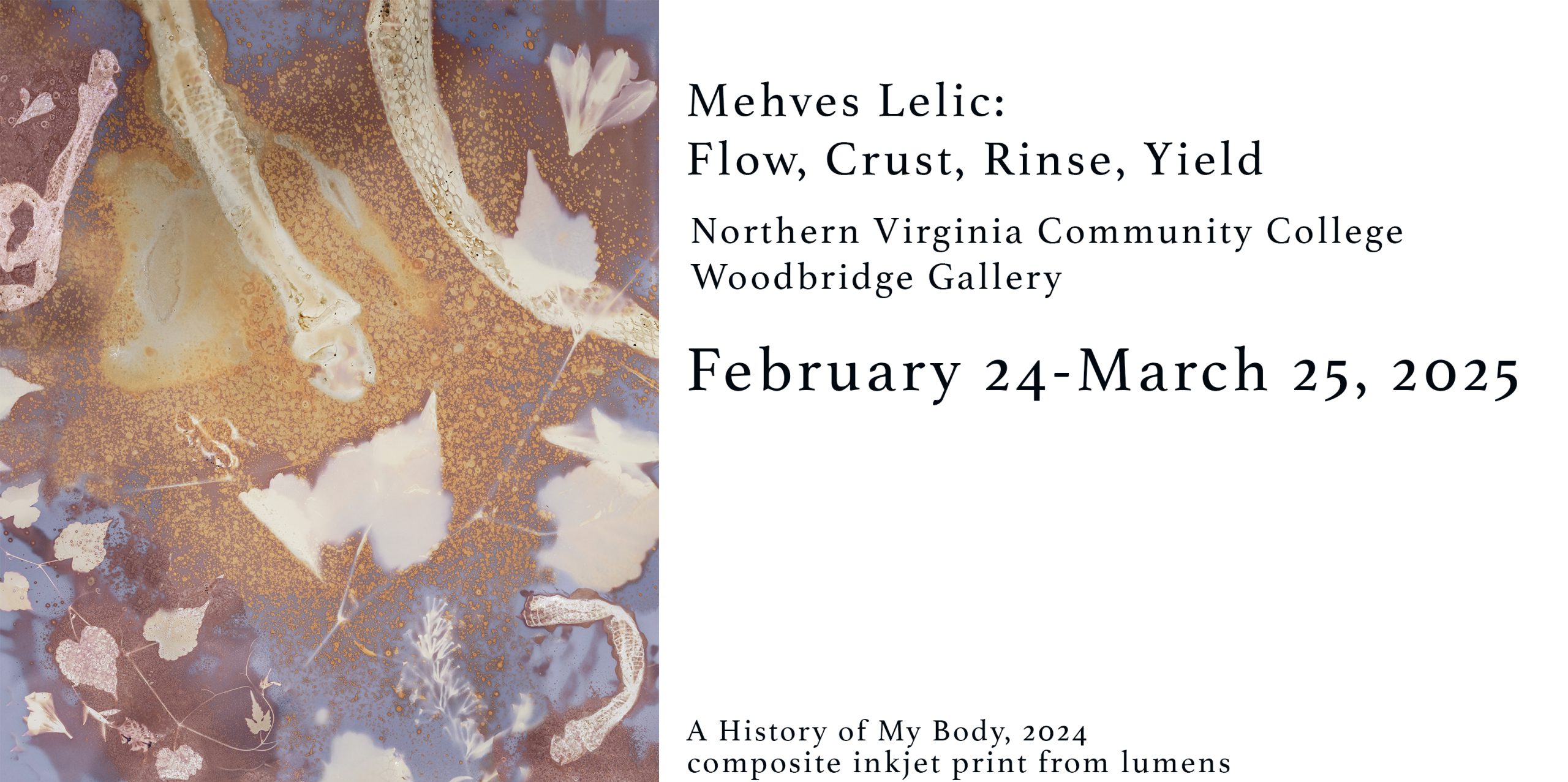Abstract using tans, pink and periwinkle. Text: Mehves Lelic: Flow, Crust, Rinse, Yield, Northern Virginia Community College Woodbridge Gallery, Feb. 24 - March 25, 2025. A History of my body, 2024 composite inkjet print from lumens