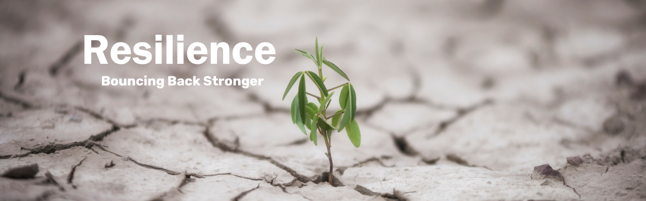 Photo of dry, cracked ground with a tiny little plant pushing up through one of the cracks. White text: Resilience: Bouncing back stronger.