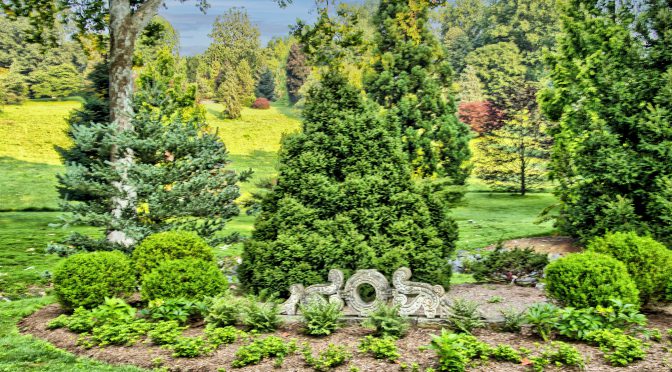 Estate Gardener-Birchwood Arboretum