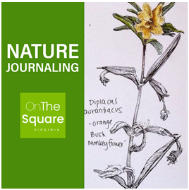 Nature Journaling- Virtual Event