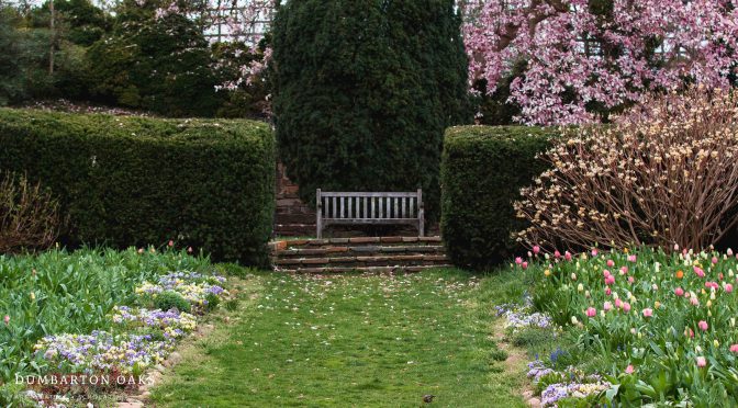 Summer Gardener Positions at Dumbarton Oaks